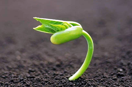 微信截图_20200227100154.png